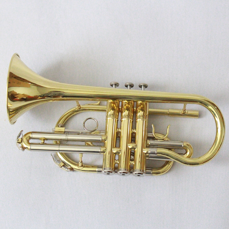 Cornet B Flat Cornet Musical I - Musical Instrument Cornet recensie en prijs