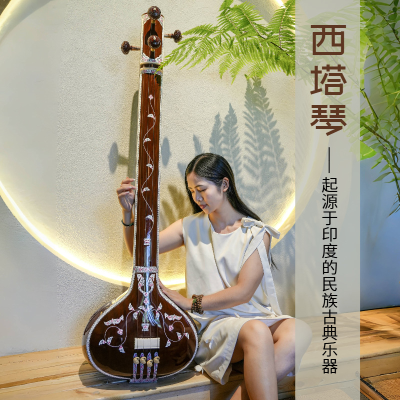 Handmade Sitar National Musica - Musical Instrument Sitar recensie en prijs