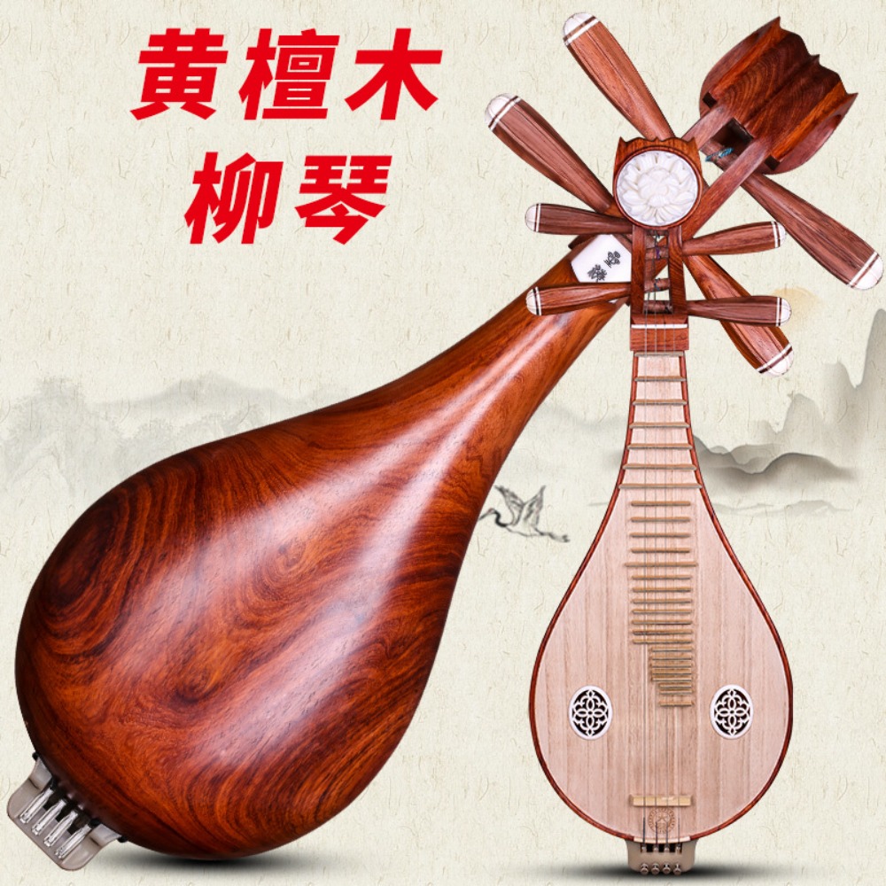 Beijing Xinghai 8414-A Rosewoo - Musical Instrument With A recensie en prijs