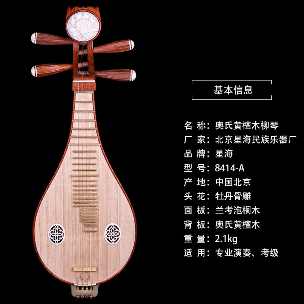 Beijing Xinghai 8414-A Rosewoo - Musical Instrument With A recensie en prijs