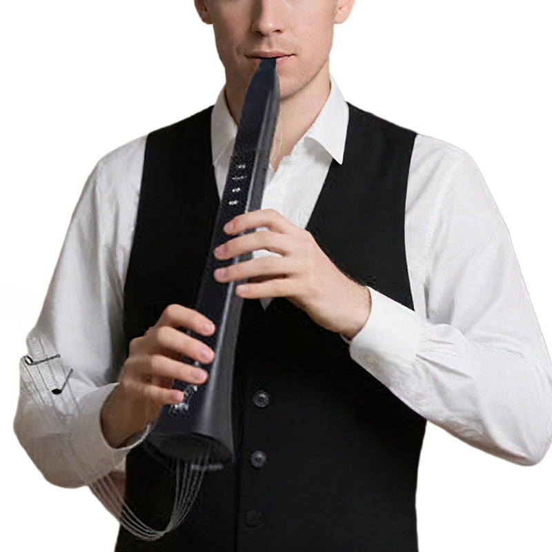 Portable Electronic Wind Instr - Musical Instrument With A recensie en prijs