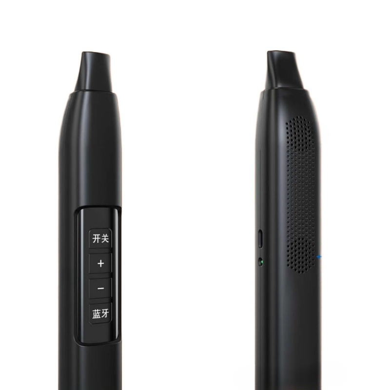 Portable Electronic Wind Instr - Musical Instrument With A recensie en prijs
