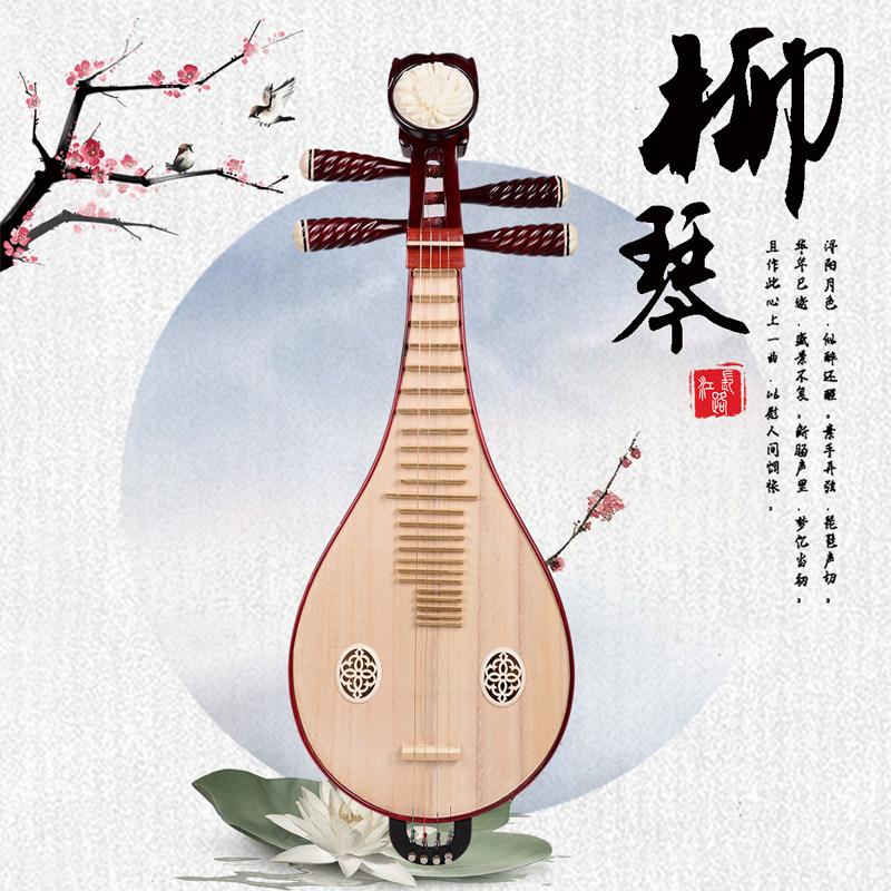 Professional Performance & Gra - Musical Instrument With A recensie en prijs