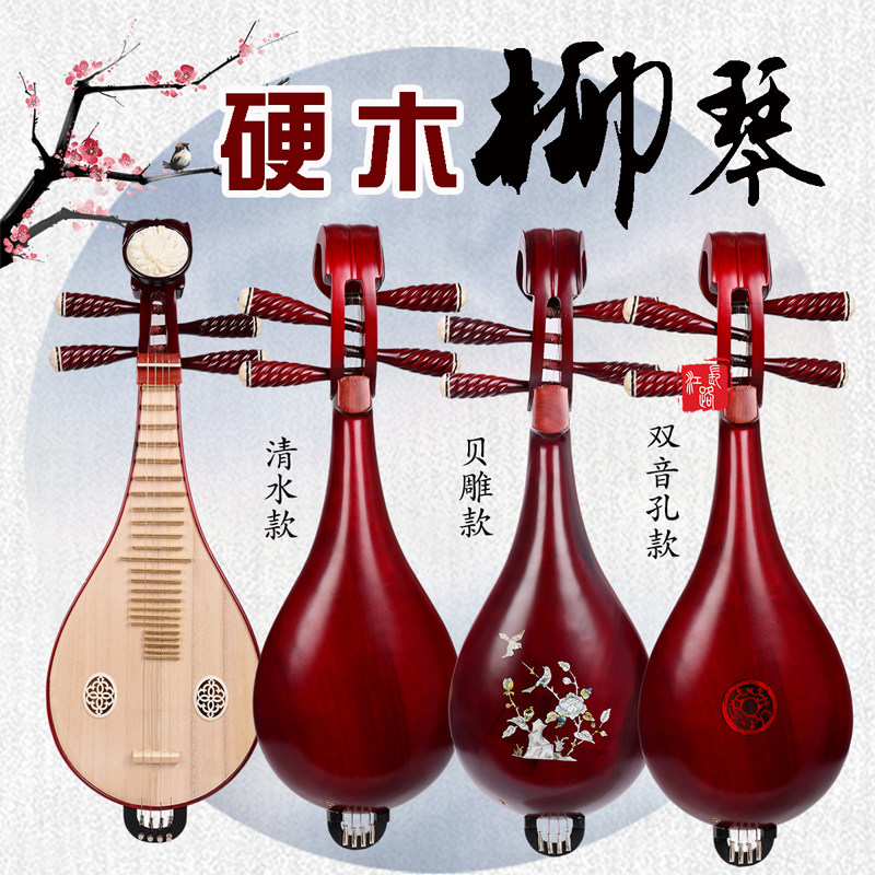 Professional Performance & Gra - Musical Instrument With A recensie en prijs