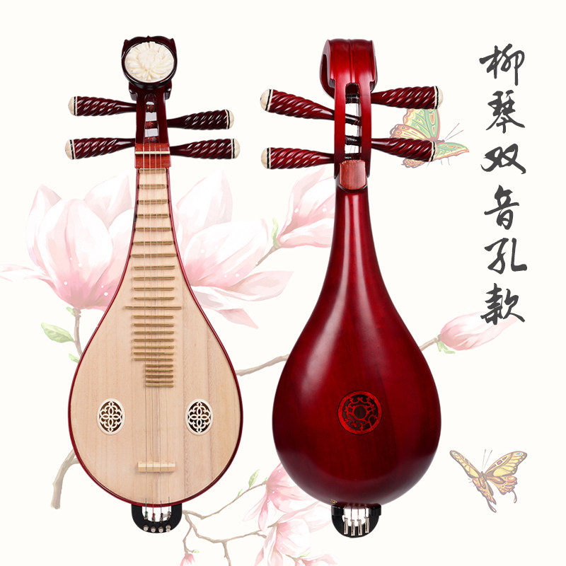 Professional Performance & Gra - Musical Instrument With A recensie en prijs