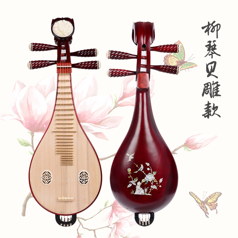 Professional Performance & Gra - Musical Instrument With A recensie en prijs