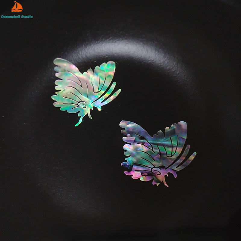 2 PC Abalone (Pāua) Shell Piec - Musical Instrument Jewelry recensie en prijs