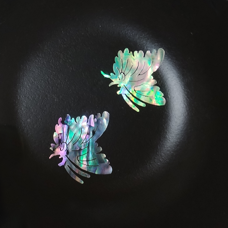 2 PC Abalone (Pāua) Shell Piec - Musical Instrument Jewelry recensie en prijs