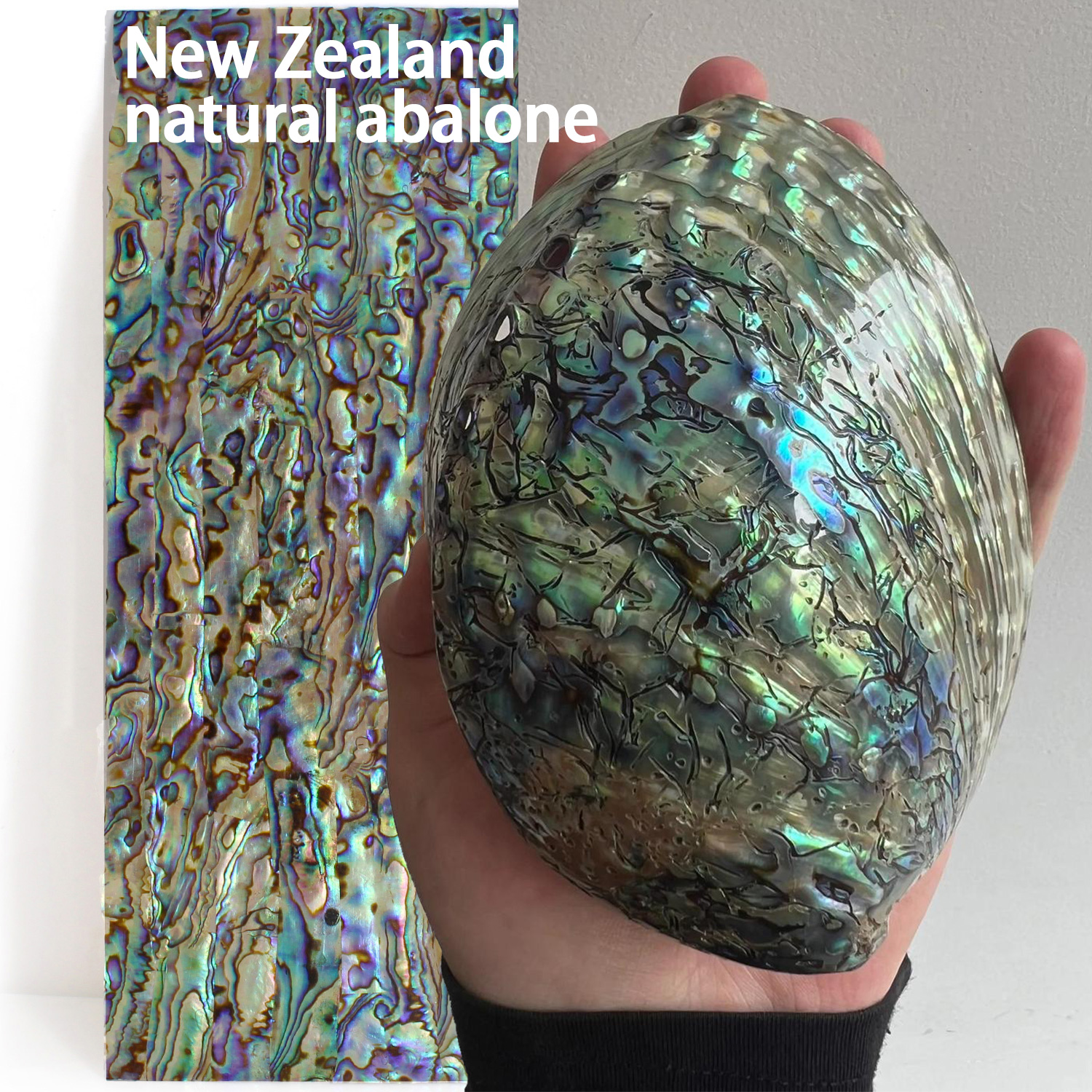 Abalone Sheet Paper for Musica - Musical Instrument Jewelry recensie en prijs