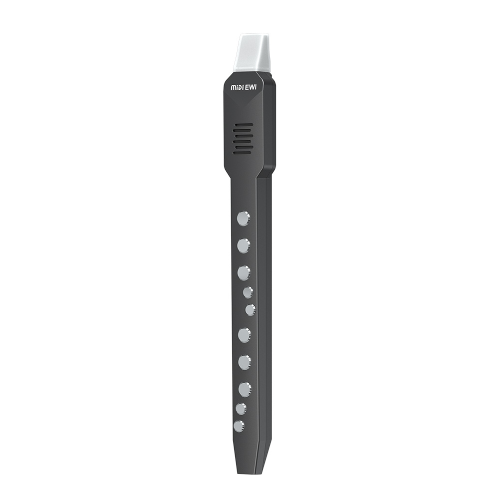 Mini Electronic Wind Instrumen - Musical Instrument Fagot recensie en prijs