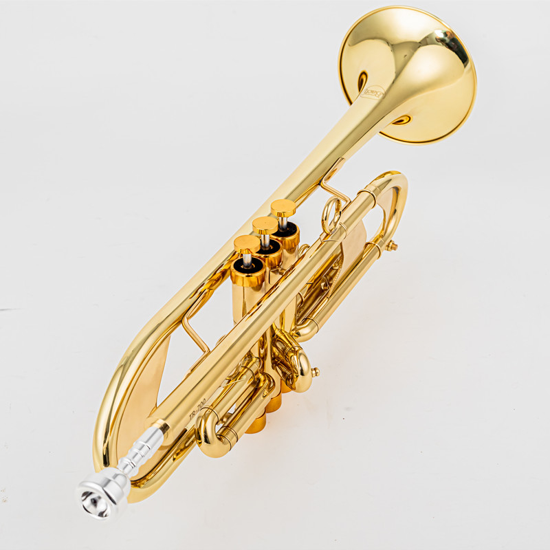 Vincent BACH 700 Bb Trumpet B  - Musical Instrument Fagot recensie en prijs